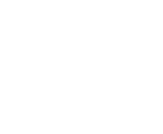 Holy Trips Holy Trips